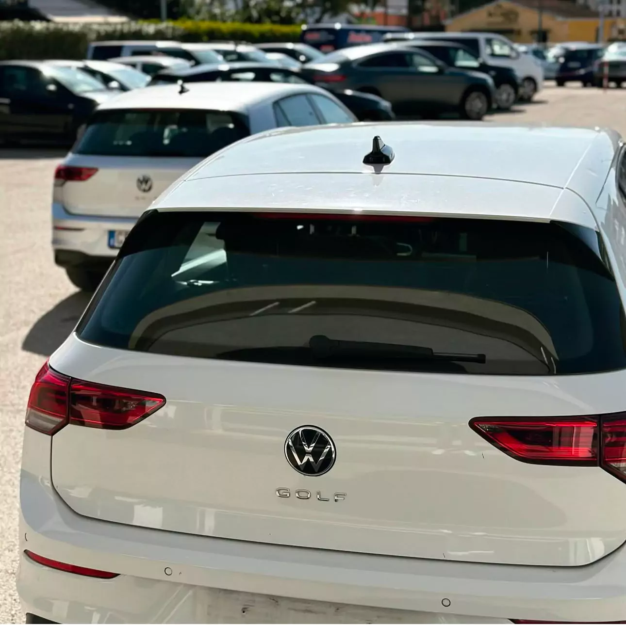 Barigelli Motori